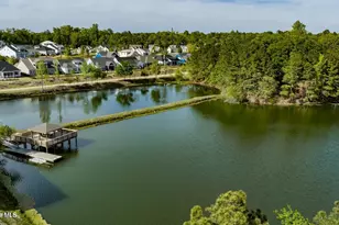 2818 Salvador Way, Castle Hayne, NC 28429 - Photo 60