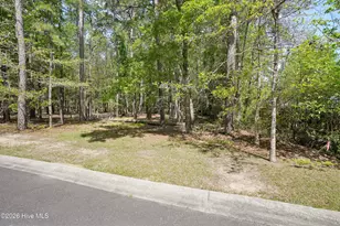 3496 Fairway Crst Dr SW, Shallotte, NC 28470 - Photo 1