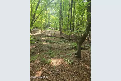 Lot 12 Fishing Creek Estates Road, Lincolnton, GA 30817 - Photo 6
