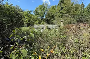 1727 Red Marble Rd, Andrews, NC 28901 - Photo 1