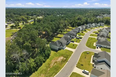 517 White Shoal Way, Sneads Ferry, NC 28460 - Photo 54