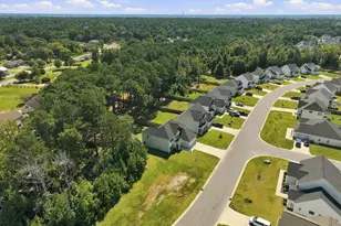 517 White Shl Wy, Sneads Ferry, NC 28460 - Photo 54