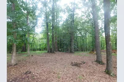 1105 Cedar Road, Lincolnton, GA 30817 - Photo 4