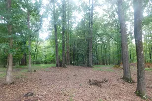 1105 Cedar Rd, Lincolnton, GA 30817 - Photo 4