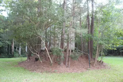 275 Pine Cliff Road, Havelock, NC 28532 - Photo 6