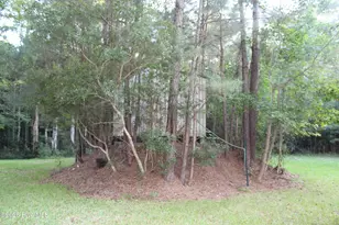 275 Pine Cliff Rd, Havelock, NC 28532 - Photo 6