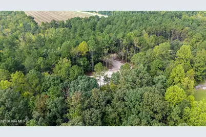 0 US Hwy 117 N #Lot 2, Willard, NC 28478 - Photo 22