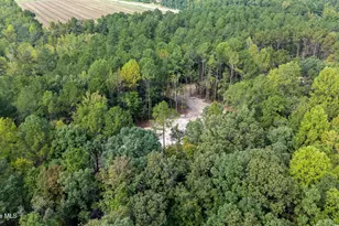 0 US Hwy 117 N, Willard, NC 28478 - Photo 22