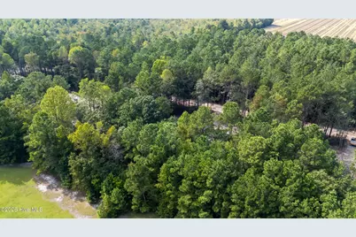 0 US Hwy 117 N #Lot 2, Willard, NC 28478 - Photo 24