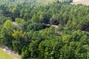 0 US Hwy 117 N, Willard, NC 28478 - Photo 24