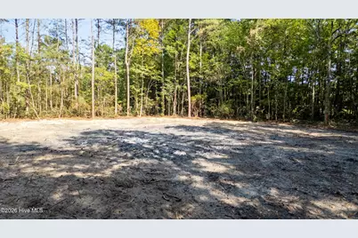 0 US Hwy 117 N #Lot 2, Willard, NC 28478 - Photo 2