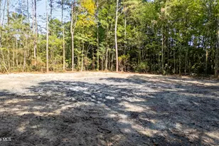 0 US Hwy 117 N, Willard, NC 28478 - Photo 2