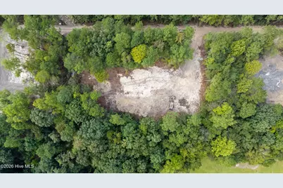 0 US Hwy 117 N #Lot 2, Willard, NC 28478 - Photo 1