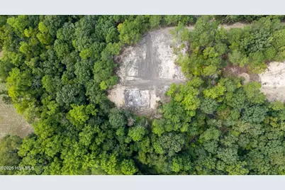0 US Hwy 117 N #Lot 3, Willard, NC 28478 - Photo 2