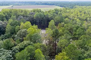 0 US Hwy 117 N, Willard, NC 28478 - Photo 22