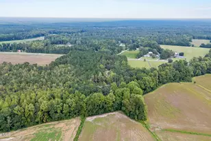 0 US Hwy 117 N, Willard, NC 28478 - Photo 24