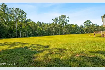 854 Springtooth Drive, Zebulon, NC 27597 - Photo 44
