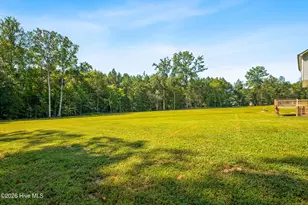854 Springtooth Dr, Zebulon, NC 27597 - Photo 44