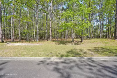 3736 Pine Brook Trail, Shallotte, NC 28470 - Photo 2