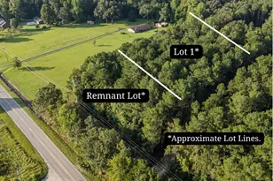 0 US Hwy 117 N, Willard, NC 28478 - Photo 20