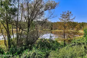 657 Whitney Shls Rd, Evans, GA 30809 - Photo 68