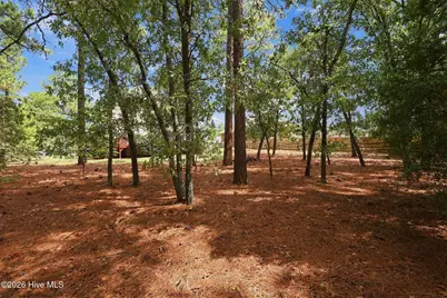 143 Michael Lane, Aberdeen, NC 28315 - Photo 44