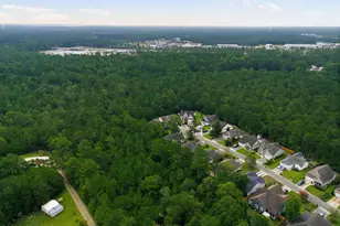 380 Southbend Ct NE, Leland, NC 28451 - Photo 38