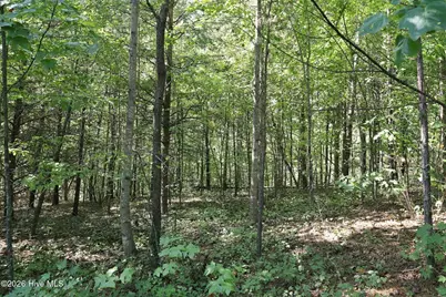 0 Nathan McDaniel Drive, Nebo, NC 28761 - Photo 22