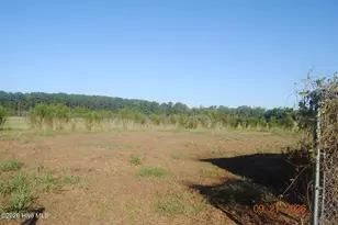 132 Cooper Rd, Richlands, NC 28574 - Photo 4