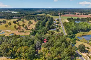 427 Tracy Brown Rd, Magnolia, NC 28453 - Photo 60