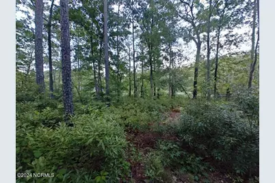 33 Mixon Creek Drive, Bath, NC 27808 - Photo 8