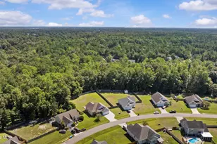 234 Blue Creek Farms Drive, Jacksonville, NC 28540 - Photo 52