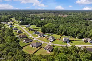 234 Blue Creek Farms Drive, Jacksonville, NC 28540 - Photo 50