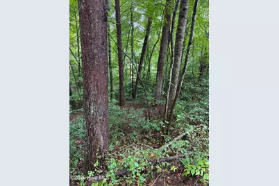 0 Little Wolf Creek Road, Murphy, NC 28906 - Photo 2