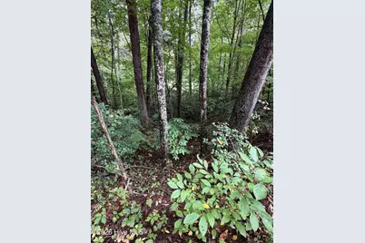 0 Little Wolf Creek Road, Murphy, NC 28906 - Photo 1