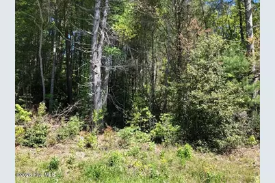 Lot 7 Santeetlah Ridge, Robbinsville, NC 28771 - Photo 8
