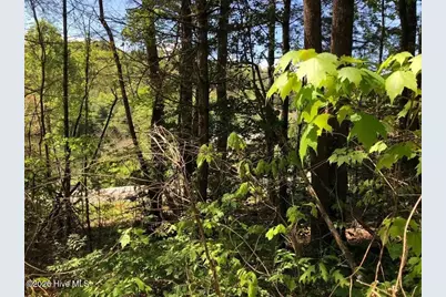 Lot 7 Santeetlah Ridge, Robbinsville, NC 28771 - Photo 10