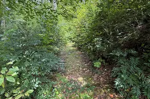 19191 U S Hwy 19, Andrews, NC 28901 - Photo 12