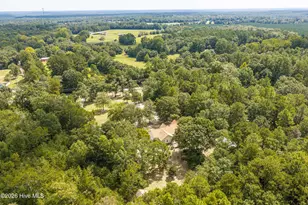 822 Woodland Dr, New Ellenton, SC 29809 - Photo 82