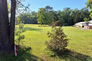 1836 Pine Level Church Rd, Nakina, NC 28455 - Photo 74