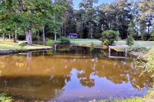 1836 Pine Level Church Rd, Nakina, NC 28455 - Photo 48