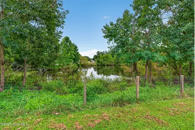 525 Daylily Court, Carthage, NC 28327 - Photo 48