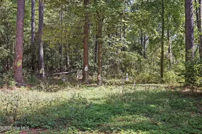 1067 McPherson Road, Vass, NC 28394 - Photo 34
