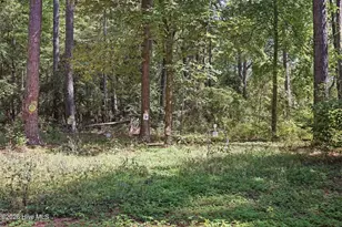 1067 McPherson Rd, Vass, NC 28394 - Photo 34