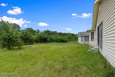 1817 Cato Road, Stapleton, GA 30823 - Photo 26