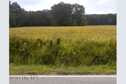 0 Rountree Road, Winterville, NC 28590 - Photo 2