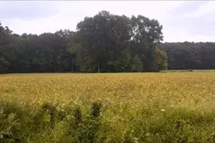 0 Rountree Rd, Winterville, NC 28590 - Photo 1
