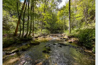 9765 Little Snowbird Road, Robbinsville, NC 28771 - Photo 6