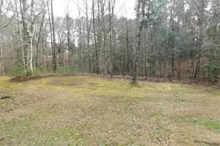 273 Scott Farm Ln, New Bern, NC 28562 - Photo 24