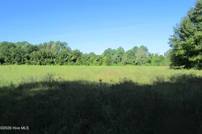 201 Eliza Lane, Clinton, NC 28328 - Photo 2